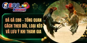 Đá Gà E88 – Tổng Quan Cách Theo Dõi, Loại Kèo Và Lưu Ý Khi Tham Gia
