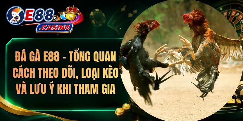 Đá Gà E88 – Tổng Quan Cách Theo Dõi, Loại Kèo Và Lưu Ý Khi Tham Gia